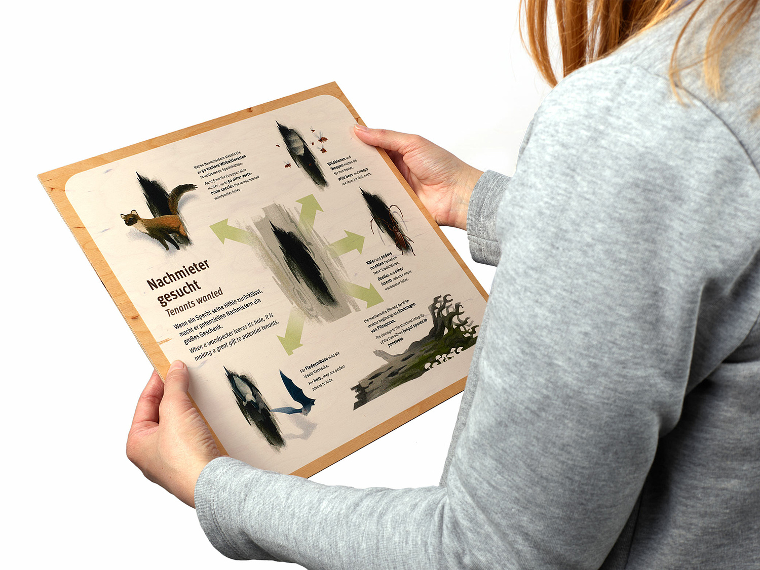 Das Foto zeigt eine Informationstafel aus Holz. Hochwertige Drucke auf Holzplatten verbinden den Besucher auch haptisch mit dem Thema Natur. (© Papenfuss | Atelier)