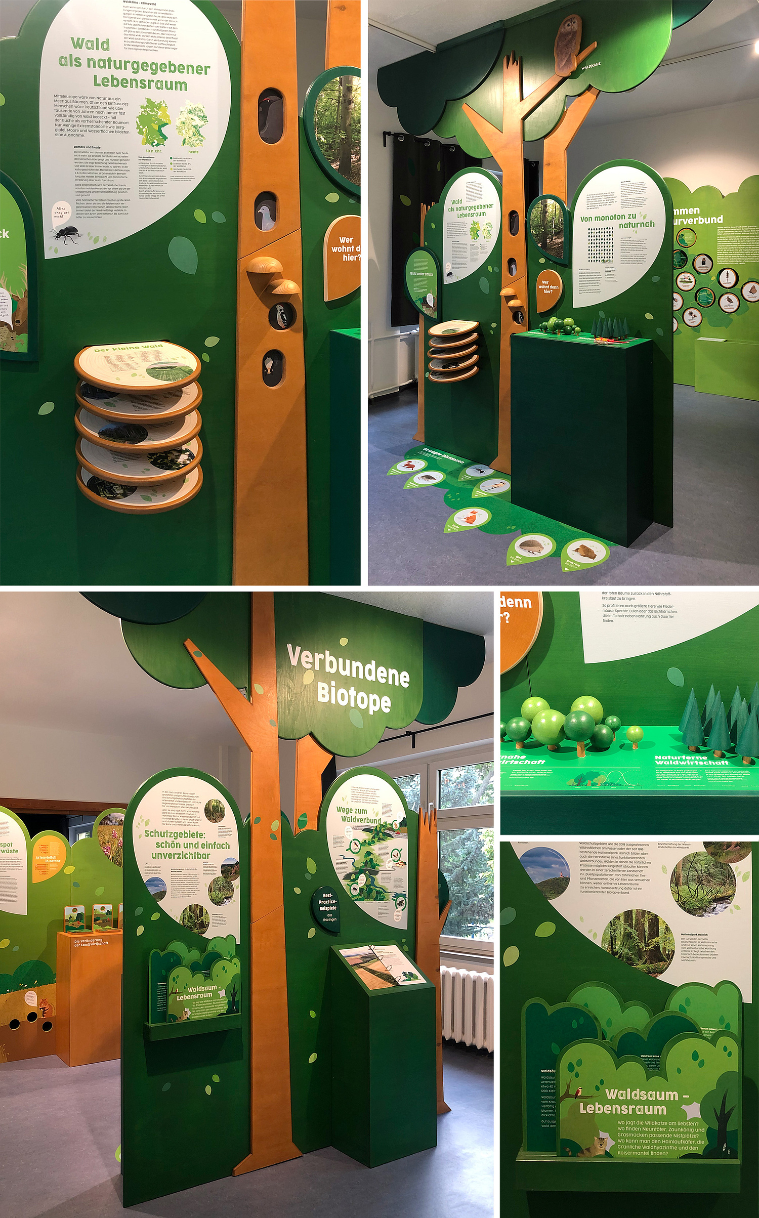 Foto: Ausstellung Natura 2000 in Sondershausen, Waldmodul (© Papenfuss | Atelier)