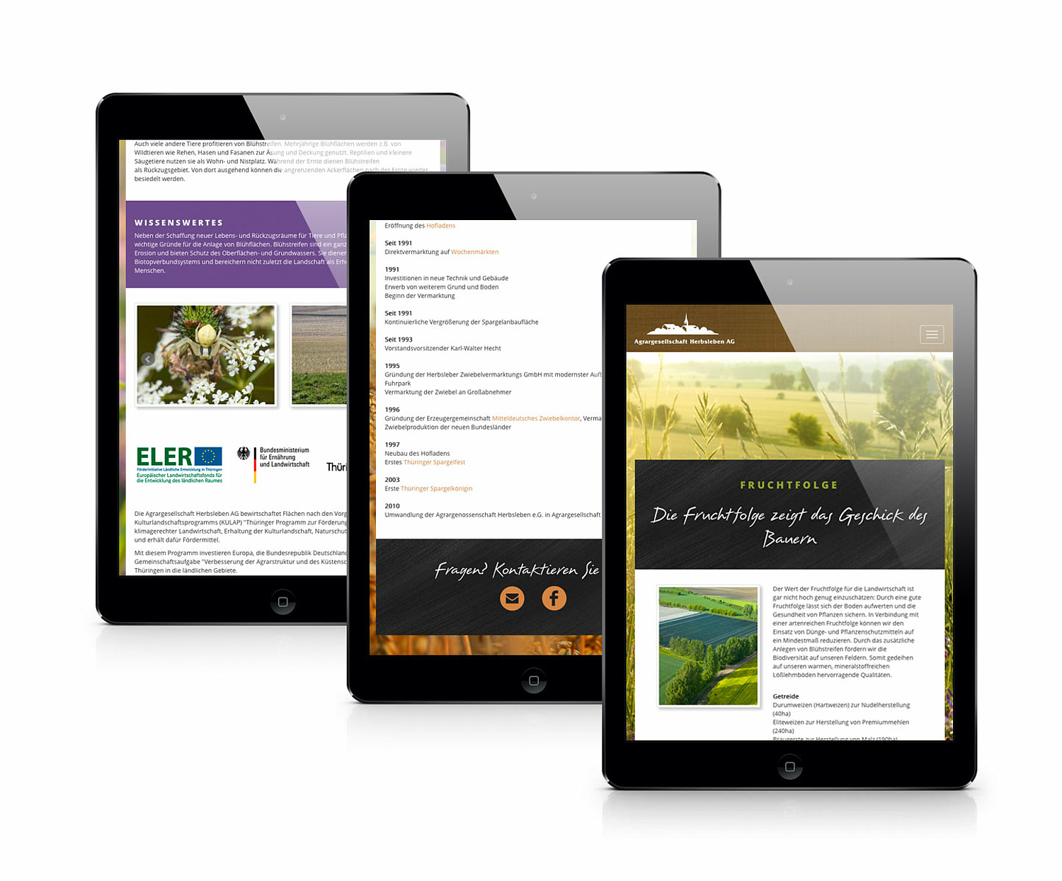 Das Bild zeigt die Responsive Darstellung einzelner Unterseiten der Website (für Agragesellschaft Herbsleben, 2015). (© Papenfuss | Atelier)