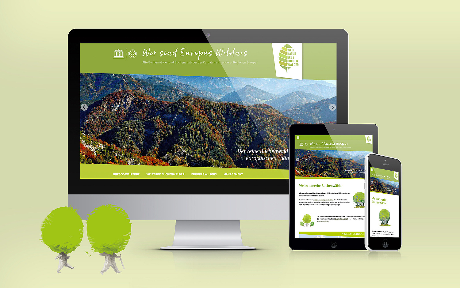 UNESCO Weltnaturerbe Alte Buchenwälder Webdesign Startseite Startseite "Wir sind Europas Wildnis" (© Papenfuss | Atelier)