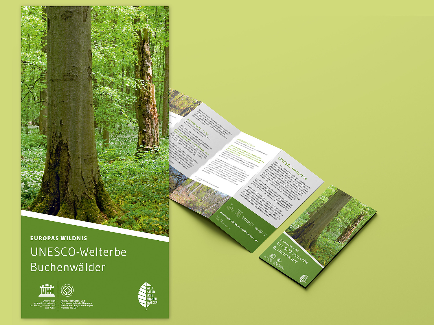 UNESCO Weltnaturerbe Alte Buchenwälder Faltblatt Europas Wildnis Europas Wildnis – Faltblatt zum UNESCO-Welterbe Buchenwälder (© Papenfuss | Atelier)