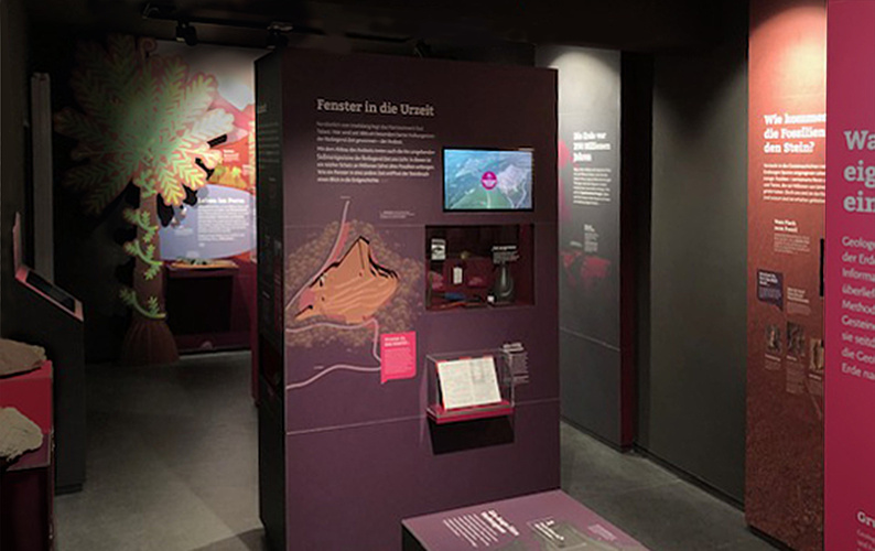 Das Foto zeigt einen Ausschnittt aus der Ausstellung im 1. Stock zu den Themen Fossilien und Geologie