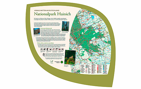 Entwurf Infotafel Nationalpark Hainich