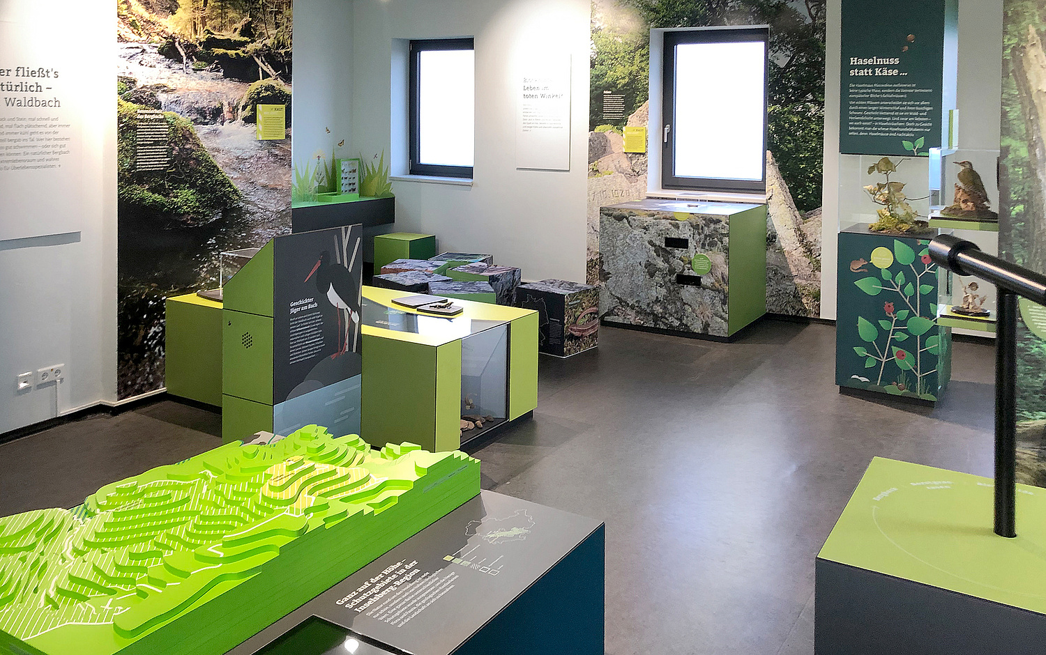 Blick in die Ausstellung in der 2. Etage mit den Ausstellungsbereichen "Schutzgebiete und Schutzstatus" und "Biotop-Typen." (© Papenfuss | Atelier)