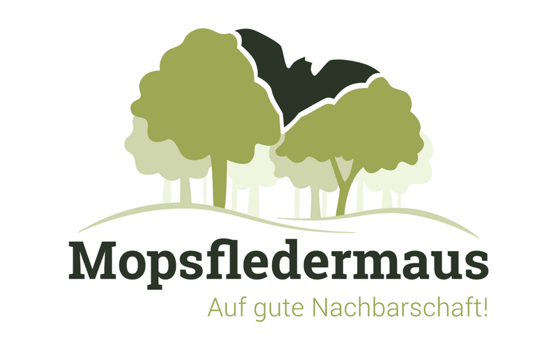 Der Umriss der Mopsfledermaus fügt sich in die Waldsilhouette ein und komplettiert diese wie ein Puzzlestück. Mopsfledermaus und Wald gehören unmittelbar zusammen.