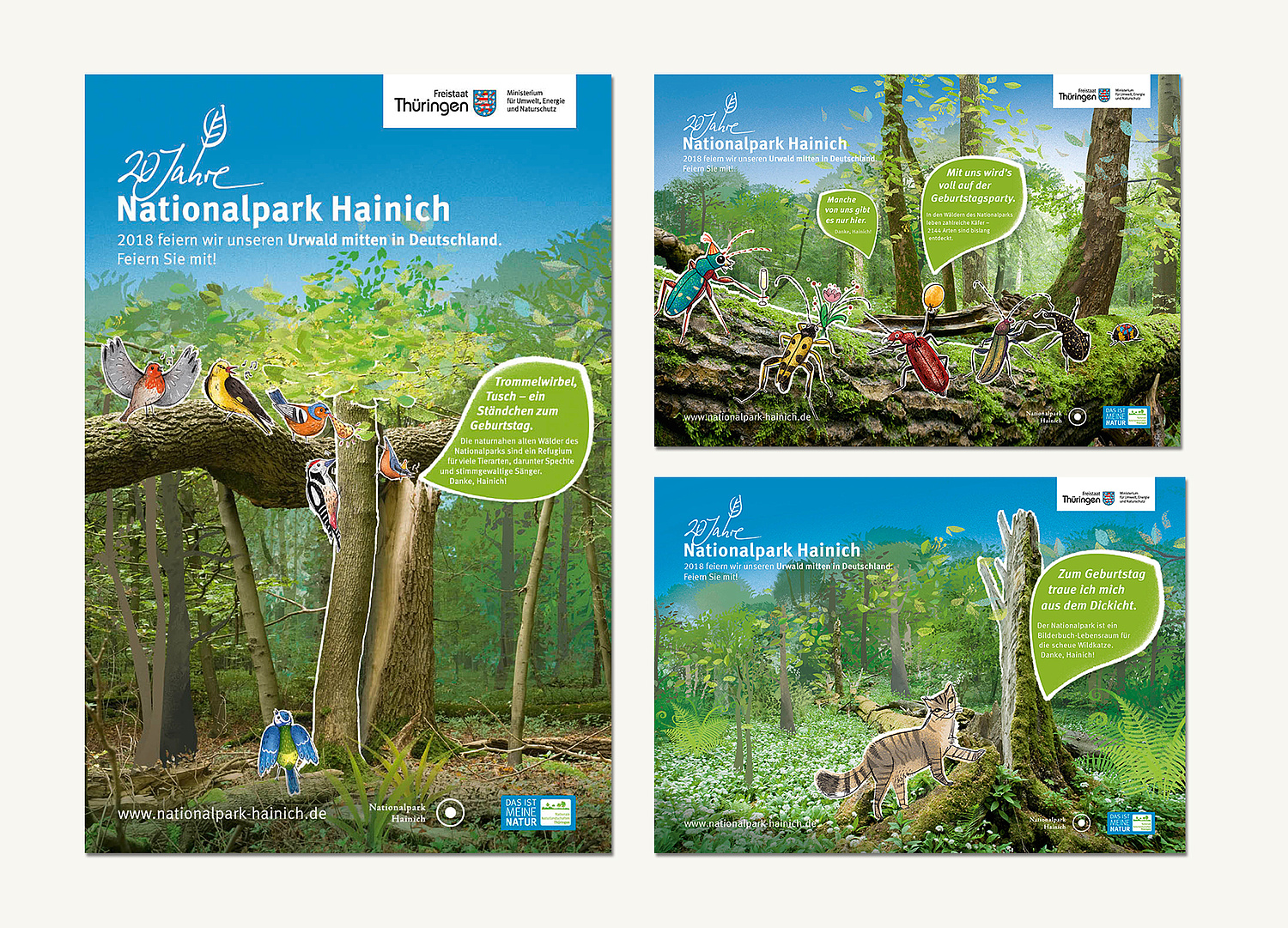 Kampagne 20 Jahre Nationalpark Hainich Beutel mit Motive Das Bild zeigt die drei Kampagnenmotive "Vögel", "Käfer" und "Wildkatze". (© Papenfuss | Atelier)
