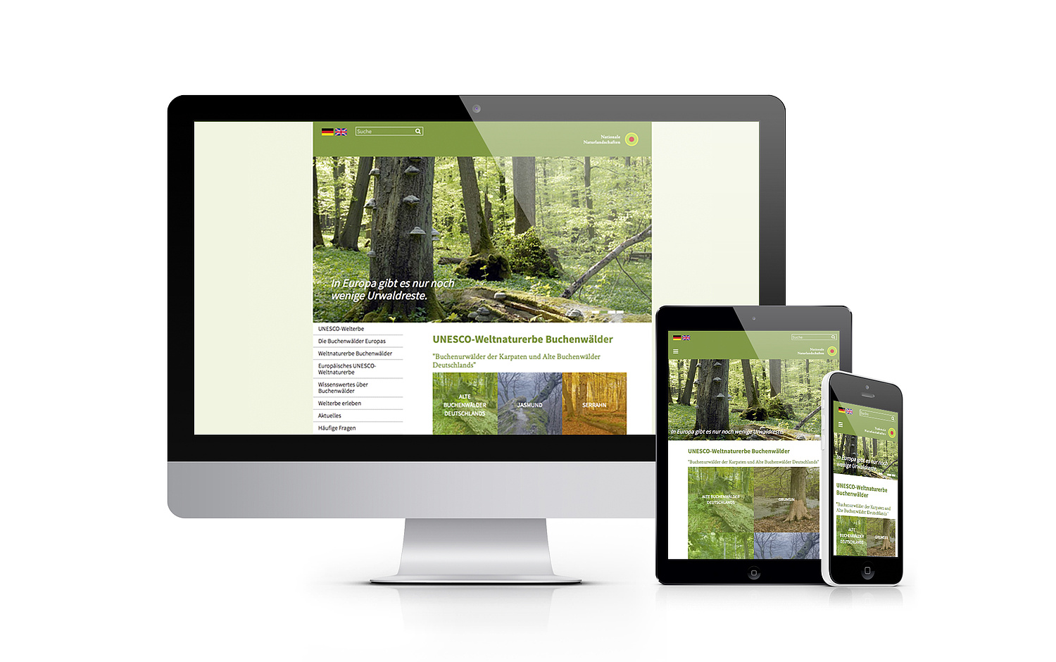 Das Bild zeigt drei Responsive-Ansichten der Startseite: auf Desktop, Tablet und Smartphone.  (© Papenfuss | Atelier)