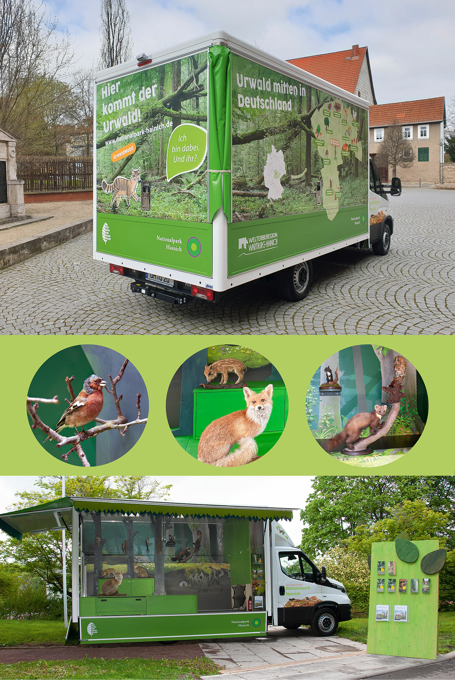 Urwaldmobil Nationalpark Hainich (© Papenfuss | Atelier)