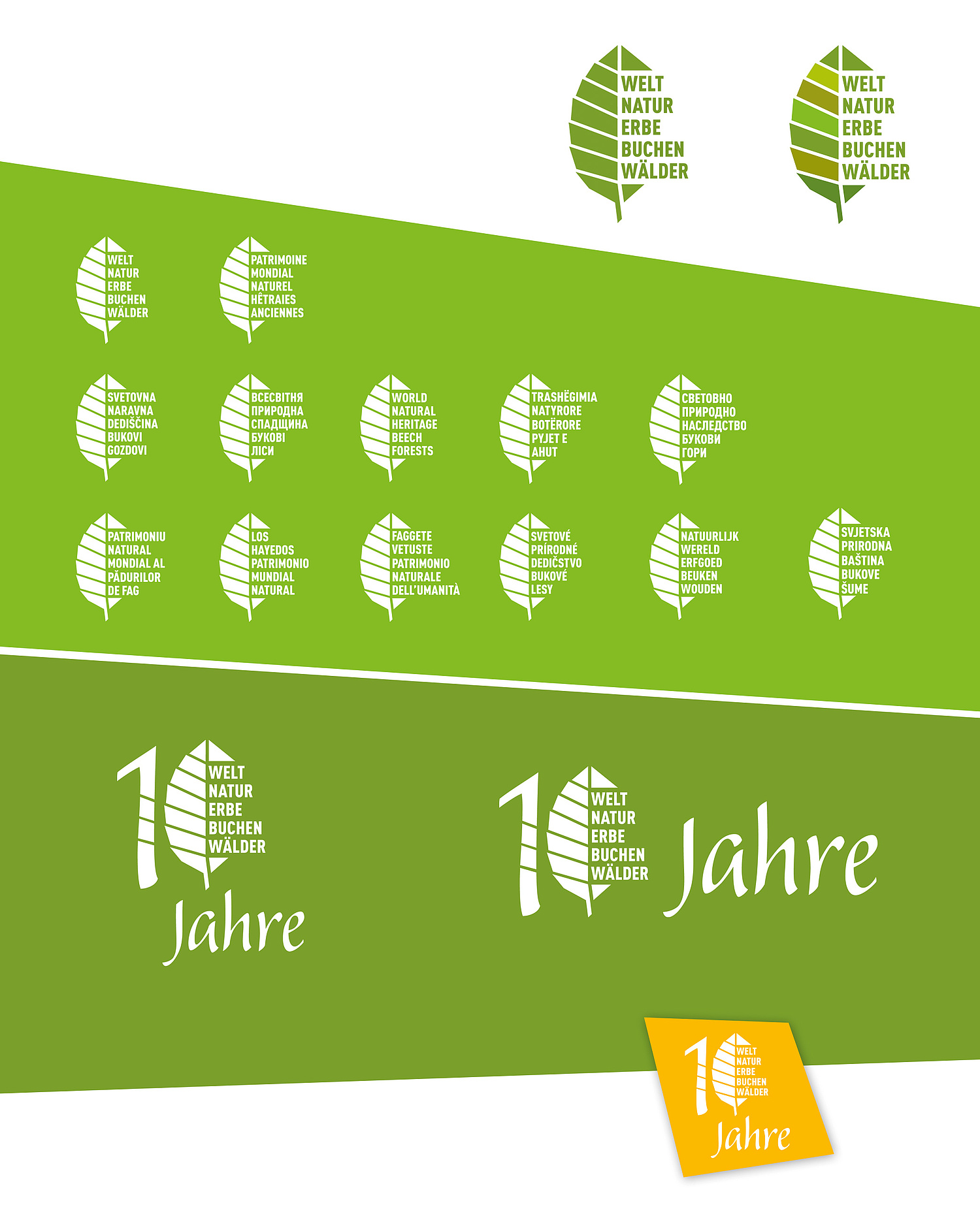 UNESCO Weltnaturerbe Alte Buchenwälder Signet Wort-Bild-Marke Die Bildwortmarke setzt sich aus einem stilisierten Buchenblatt und dem Schriftzug "Weltnaturerbe Buchenwälder" zusammen. Das Logo erfüllt das Kriterium der mehrsprachigen Nutzung und ist in der jeweiligen Landessprache der Welterbegebiete verfügbar. (© Papenfuss | Atelier)