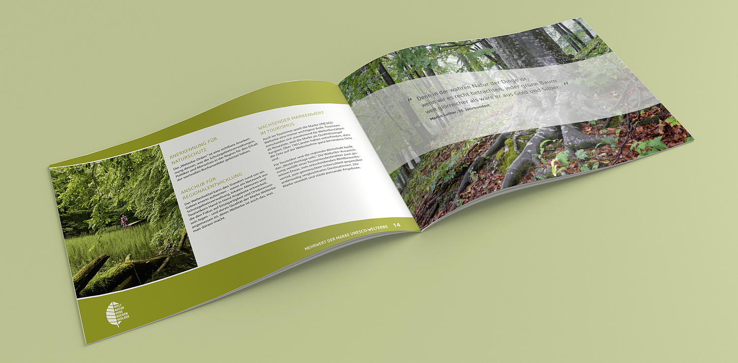 UNESCO Weltnaturerbe Alte Buchenwälder Markenhandbuch Mehrwert UNESCO-Welterbe (© Papenfuss | Atelier)