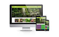Screen-Ansichten der Startseite des Nationalpark Hainich für den Desktop, Tablet und Smartphone