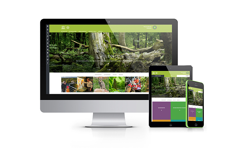 Screen-Ansichten der Startseite des Nationalpark Hainich für den Desktop, Tablet und Smartphone