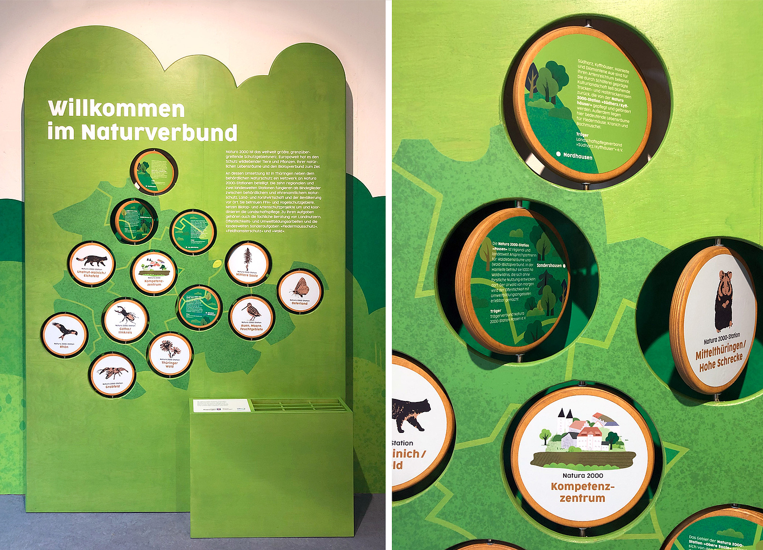 Foto: Ausstellung Natura 2000 in Sondershausen, Modul Natura 2000 Sationen (© Papenfuss | Atelier)
