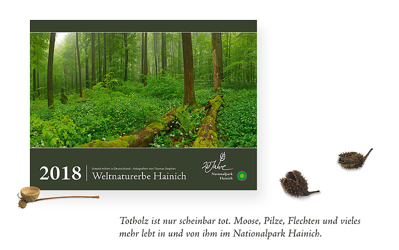 Der Jubiläumskalender "20 Jahre Nationalpark Hainich" hat das Großformat 60 x 45 cm.