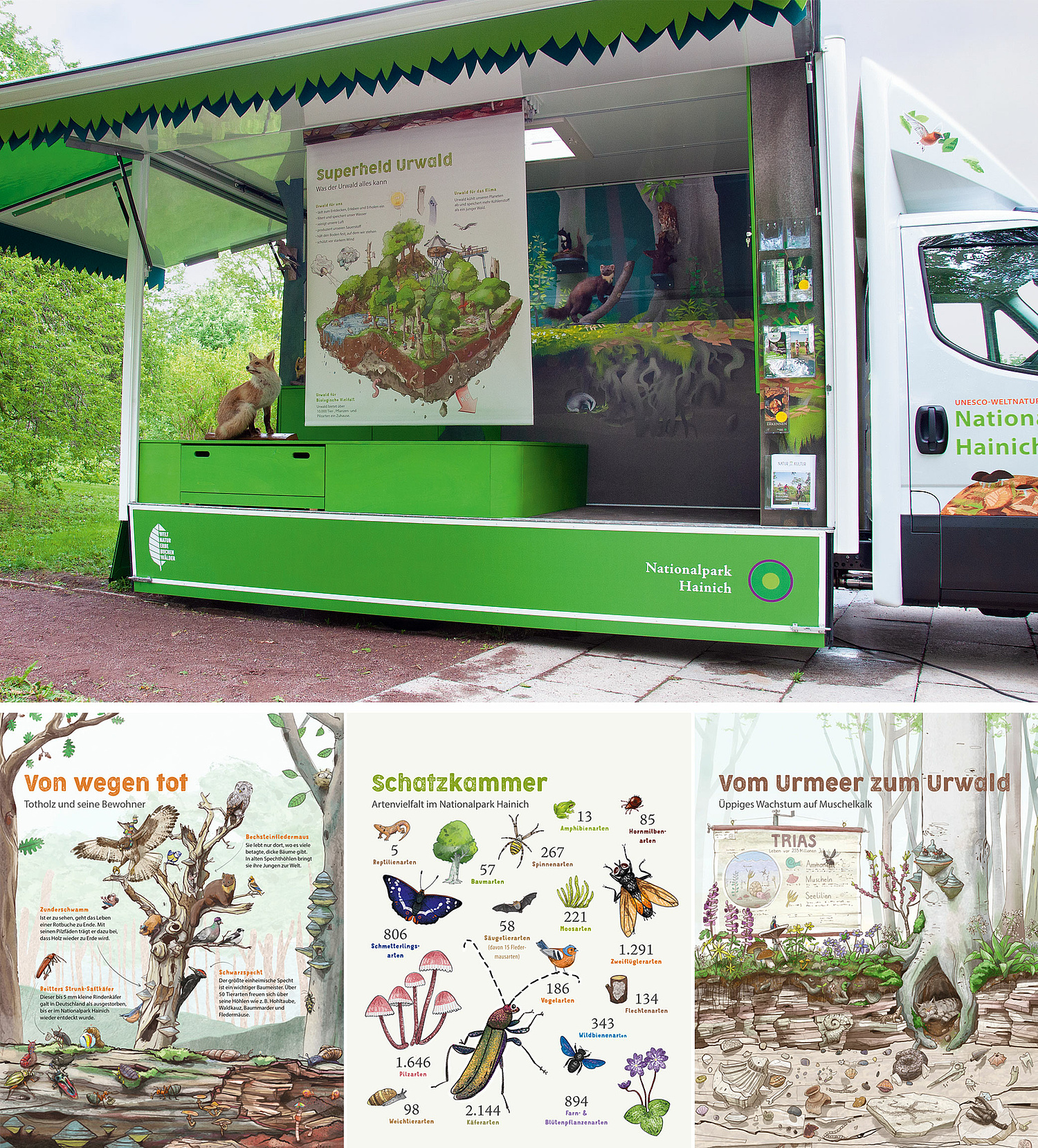 Nationalpark Hainich Urwaldmobil Ansicht offen (© Papenfuss | Atelier)