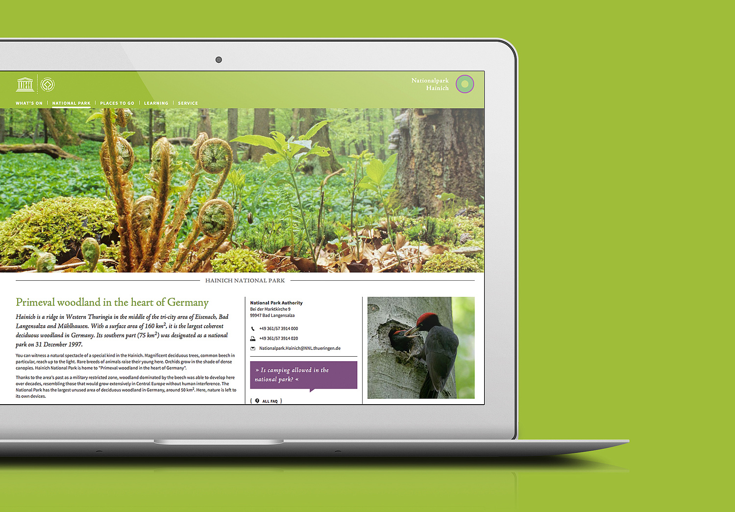 Übersetzung Englisch – Webdesign & Webentwicklung Nationalpark Hainich Desktopansicht mit dem Ausschnitt der englischen Unterseite zum Nationalpark Hainich (© Papenfuss | Atelier)