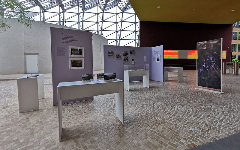 Das Bild zeigt die Wanderausstellung im Foyer des Umweltbundesamtes in Dessau mit Blick auf die gesamte Wanderausstellung mit den zwei Ausstellungswinkeln und den Vitrinen "Arten und Orte, wahrnehmen.".