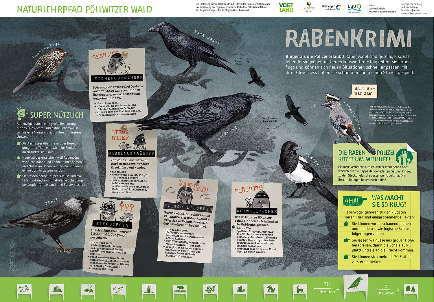 Schautafel Rabenkrimi Das Bild zeigt die Schautafel "Rabenkrimi" (Naturlehrpfad, Landratsamt Greiz, 2016). (© Papenfuss | Atelier)