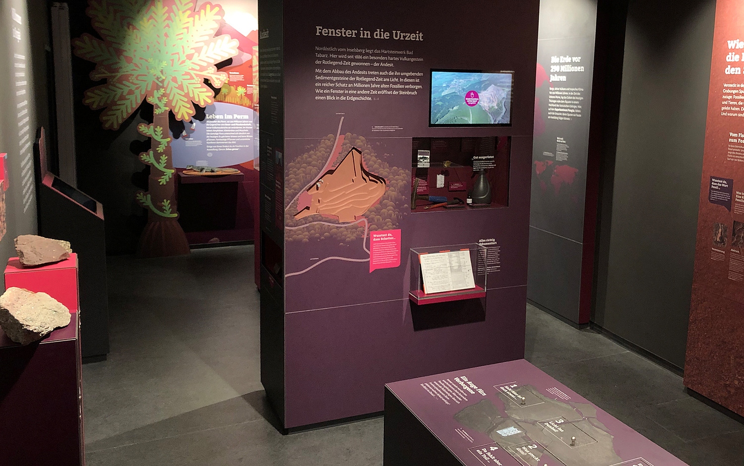 Ausstellungsdesign Geologie Inselsberg Schaukasten Fossilienfundstelle (© Papenfuss | Atelier)