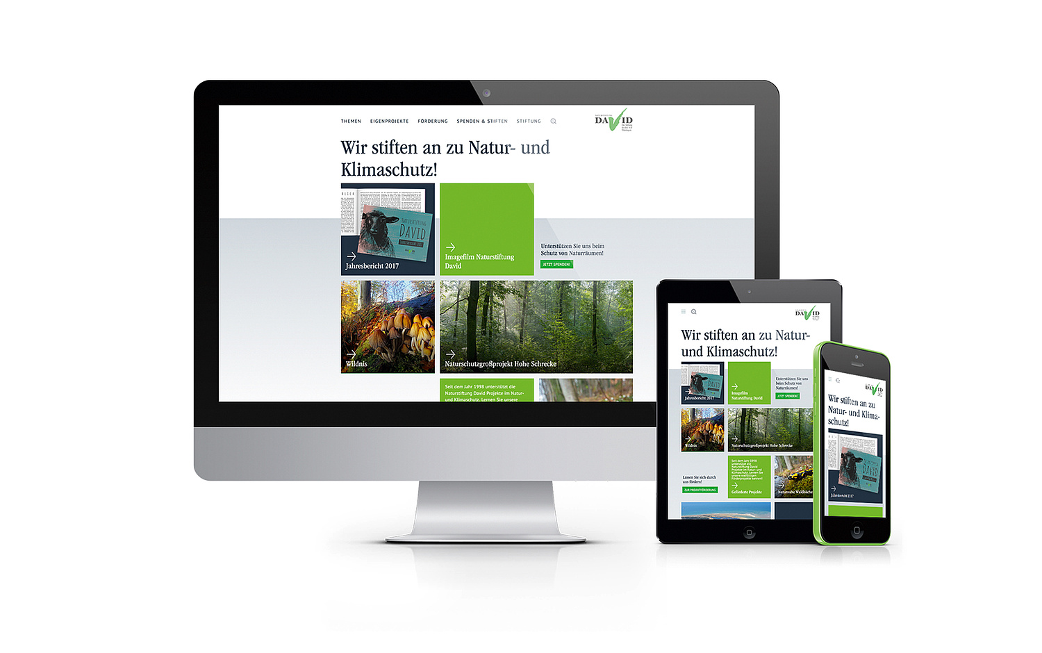 Kommunikation Webdesign Natur & Umwelt Startseite Responsive Naturstiftung David (© Papenfuss | Atelier)