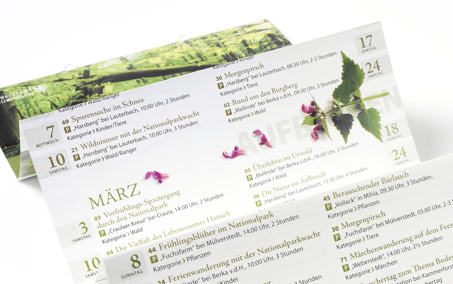 Nationalpark Hainich – Kommunikationsdesign – Printprodukte Veranstaltungskalender im Format DIN lang quer liegend aufgeschlagen mit Sicht auf den Innenteil mit allen Veranstaltungen (© Papenfuss | Atelier)