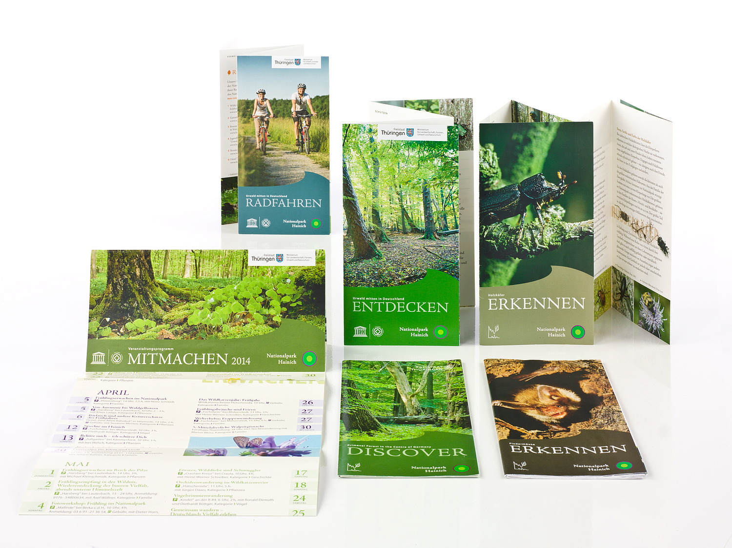 Nationalpark Hainich – Flyer, Veranstaltungskalender Faltblätter für den Nationalpark Hainich: Ansicht aufgeblättert vom Veranstaltungskalender und den Einzelfaltblättern (© Papenfuss | Atelier)