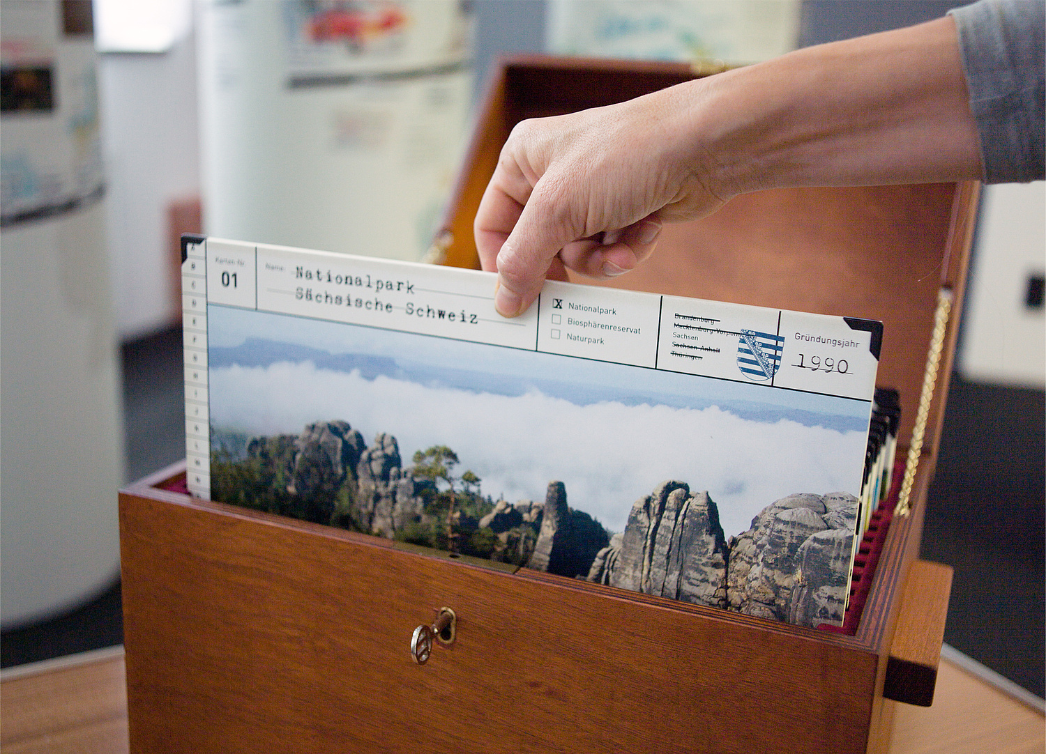 Das Foto zeigt die Entnahme einer Karteikarte aus der "Schatzkiste" der im Rahmen des Nationalparkprogramms ausgewiesenen Großschutzgebiete (für die Stiftung Natzurschutzgeschichte, 2015) (© Papenfuss | Atelier)