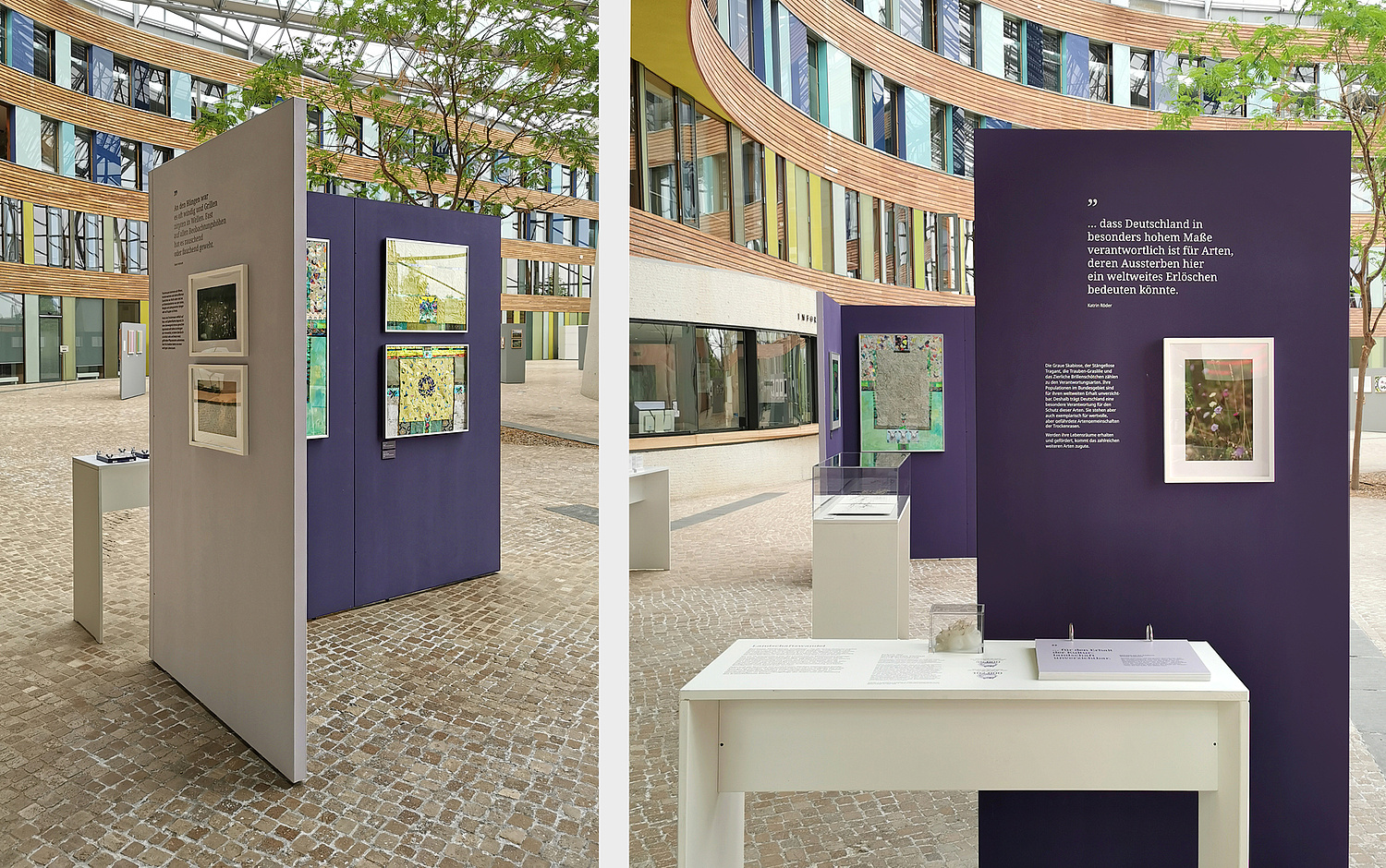 Links Blick auf eines der beiden Ausstellungsmodule, rechts Blick auf den Tisch zum Thema Schafbeweidung, dahinter eine Wand mit dem Zitat "…dass Deutschland in hohem Maße verantwortlich ist für Arten, deren Aussterben hier ein weltweites Erlöschen bedeuten könnte." (© Papenfuss | Atelier)
