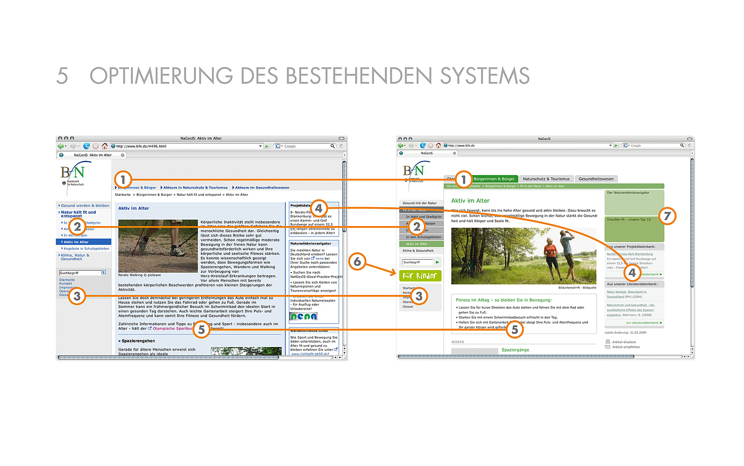 Das Bild zeigt die Vorher-Nachher Bildschirmansicht für die Startseite von Natgesis (für das Bundesamt für Naturschutz (BfN), 2009) (© Papenfuss | Atelier)