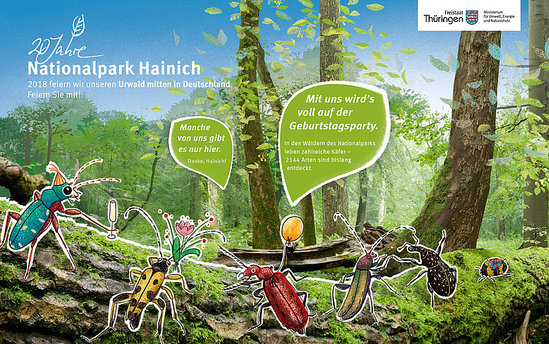 Urwaldbild als Foto im Hintergrund mit vier illustrierten Käfern im Totholz mit Sprechblase "Manche von uns gibt es nur hier. Danke Hainich!" 
