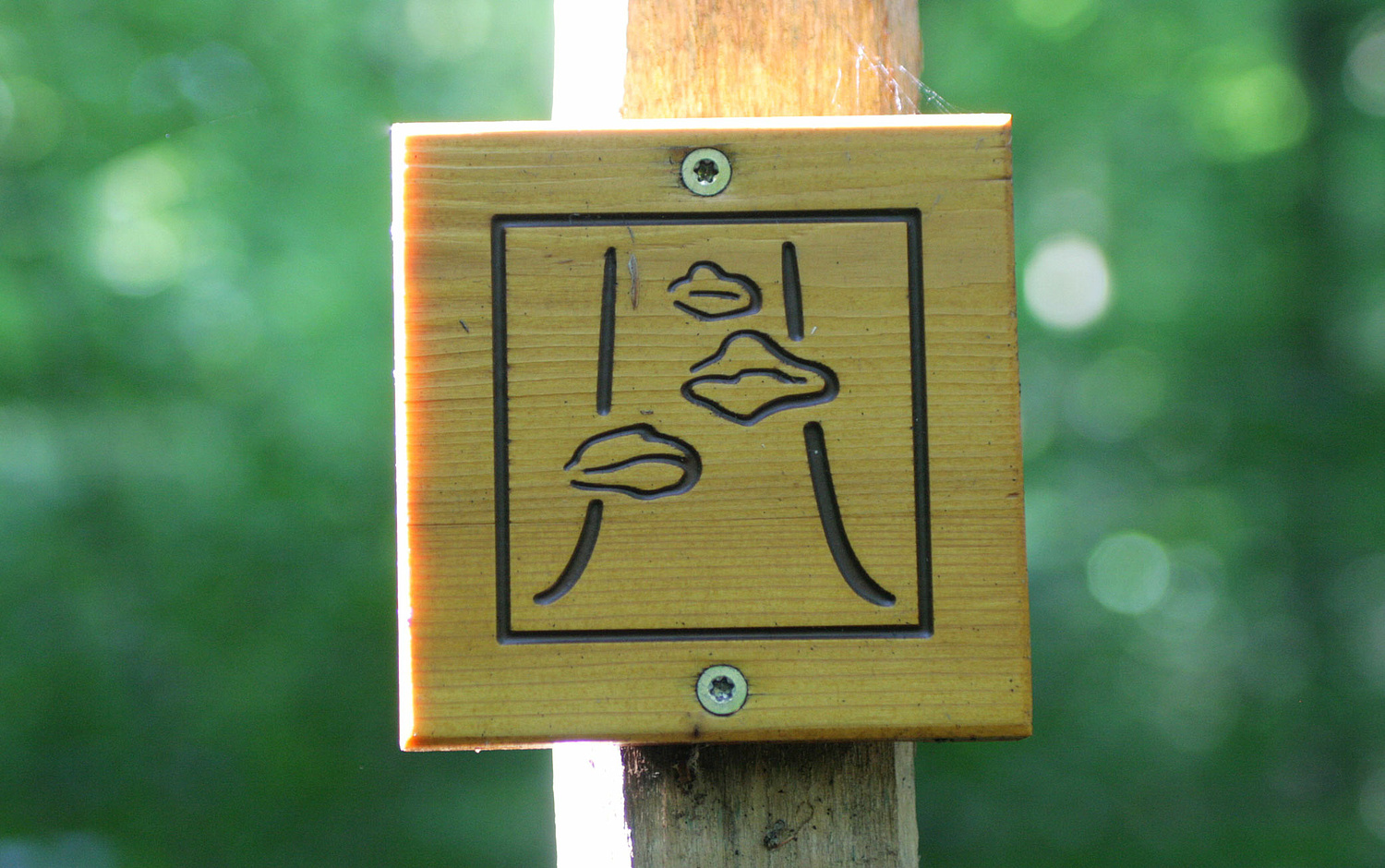 Nationalpark Hainich UNESCO-Weltnaturerbe Beschilderung Das Bild zeigt den Wegweiser für den Urwaldpfad im Nationalpark Hanich (für Nationalpark Hainich, 2010–2014). (© Papenfuss | Atelier)