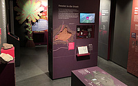 Ausstellungsdesign Agentur Papenfuss Inselsberg