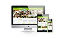 Das Bild zeigt drei Responsive-Bildschirmansichten der Startseite www.agrarmarketing-thueringen.de (für Thüringer Agrarmarketing, 2015)