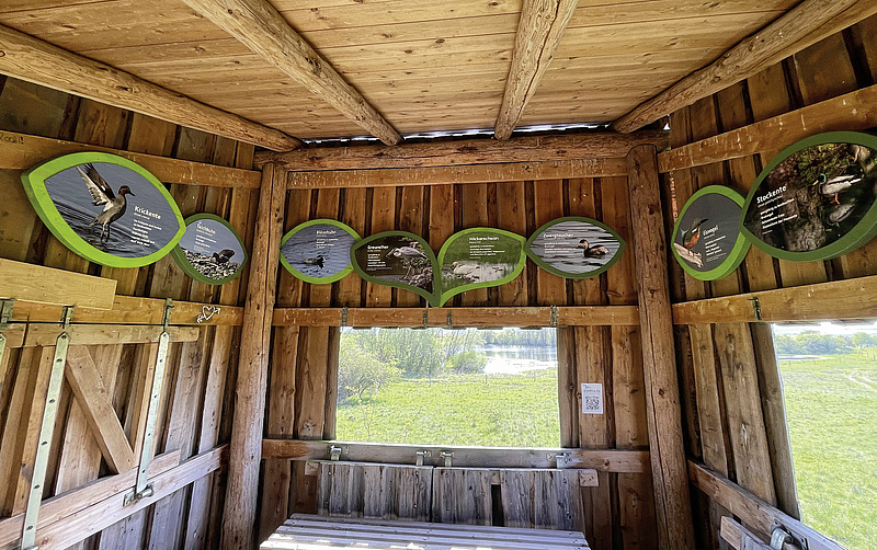 Das Bild zeigt Tafeln zur Vogelkunde im Beobachtungspunkt im Nationalpark Hainich am Rundweg Wilde Weide.
