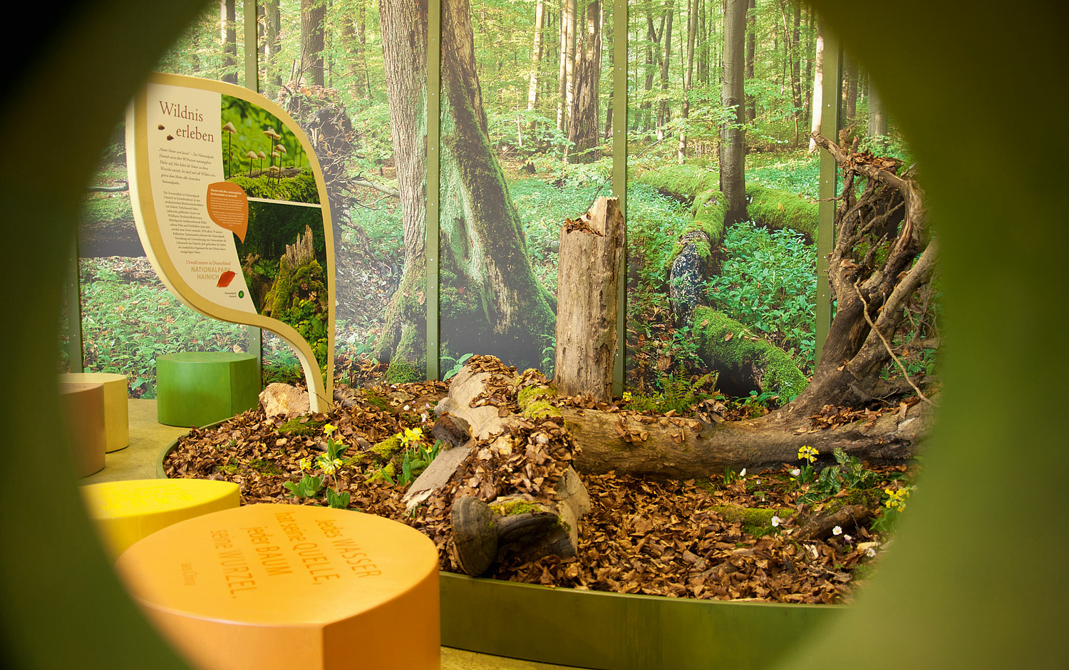 Ausstellung Welterberegion Wartburg Hainich Das Bild zeigt eine Ansicht durch ein Guckloch auf die Ausstellung Welterberegion Wartburg Hainich im Egapark Erfurt (für Nationalpark Hainich, 2016). (© Papenfuss | Atelier)