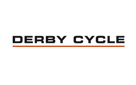 Das Bild zeigt das Logo der Firma Derby Cycle. (für Derby Cycle Werke, 2010)
