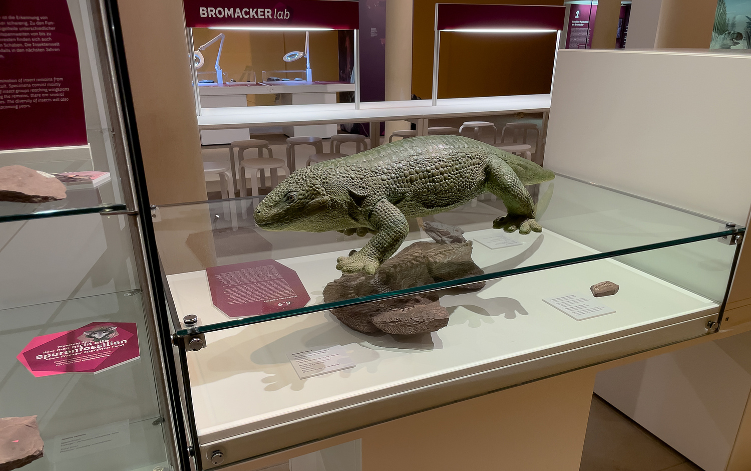 Ausstellung BROMACKER lab Stiftung Schloss Friedenstein Gotha Station 6 02 Das Mobiliar ist tragbar und wandelbar konzipiert. Tische und Vitrinen können mit verschiedenen Aufbauten oder Füllungen versehen werden. (© Papenfuss | Atelier)