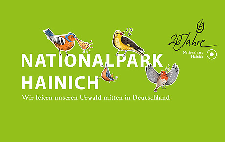 Das Bild zeigt den Schriftzug "Nationalpark Hainich" mit der Unterzeile "Wir feiern unseren Urwald mitten in Deutschland" auf grüner Hintergrundfarbe. Vogelillustrationen schmücken den Schriftzug.