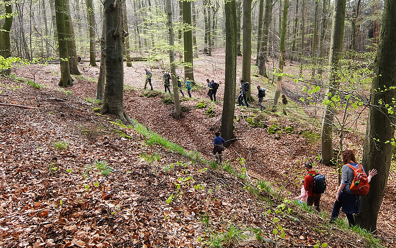 Das Bild zeigt Mitarbeiter des Atelier Papenfuss beim Wandern in den Wäldern der Hohen Schrecke.