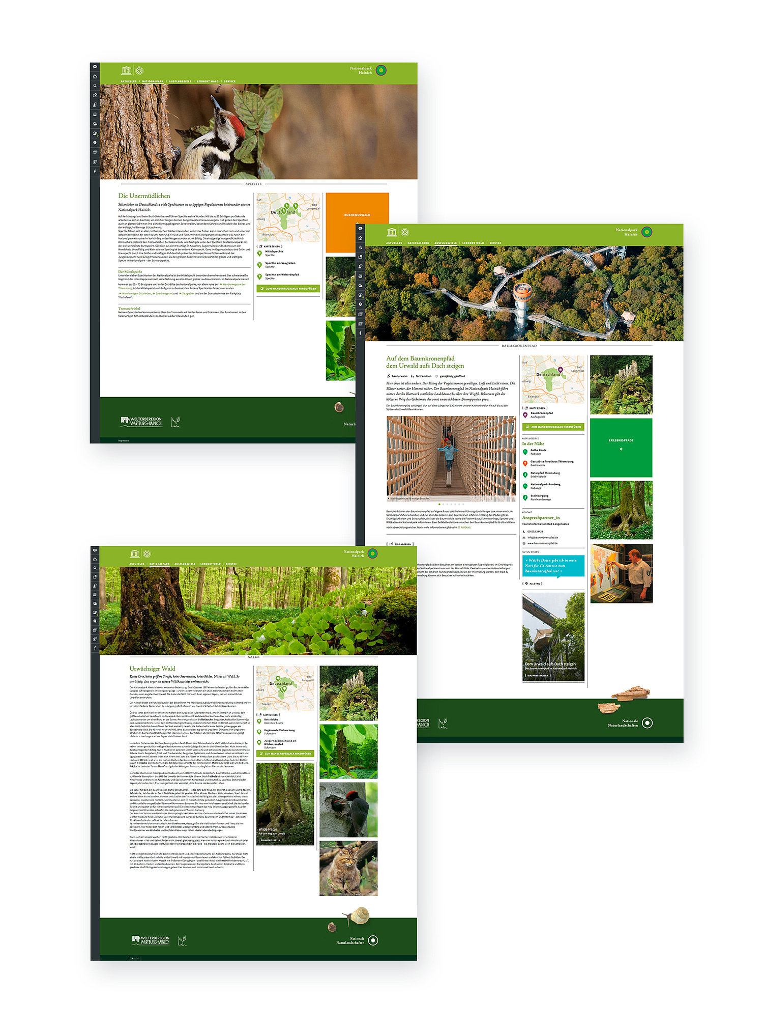 Unterseiten Baumkronenpfad, Natur und Nationalpark Hainich Die Struktur der Unterseiten ist aufgebaut mit erklärenden Text zum Thema, Marginalspalte mit Kartenmodul, FAQs, Ansprechpartnern, Diashow und weiterführenden Links. (© Papenfuss | Atelier)