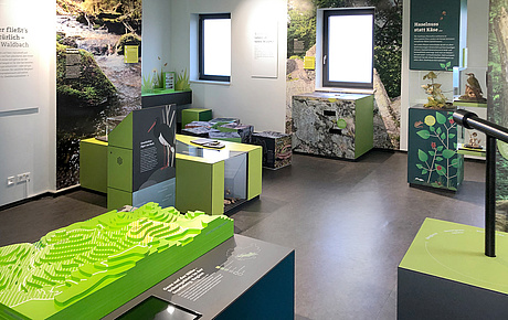 Ausstellungsdesign Agentur Papenfuss Inselsberg Natur und Schutzgebiete