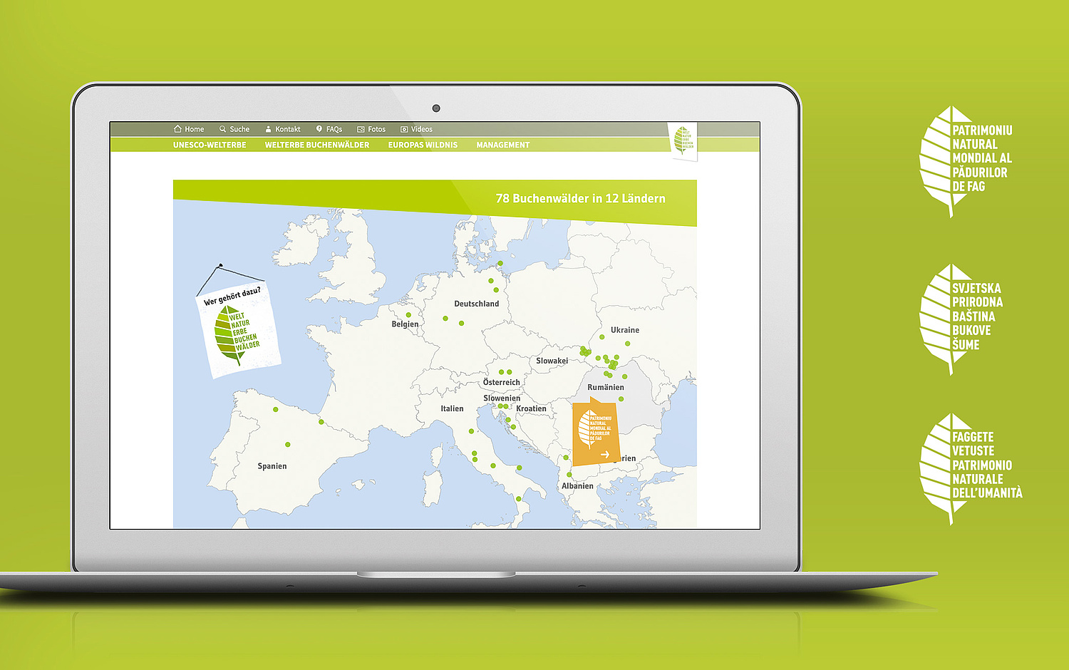 UNESCO Weltnaturerbe Alte Buchenwälder Webdesign Kartenmodul Die interaktive Karte verortet übersichtlich alle Teilgebiete der Welterbestätte in den einzelnen Ländern. Ein Link mit dem Logo in der jeweiligen Landessprache verlinkt zu den einzelnen Ländern der länderübergreifenden Welterbestätte. In der Zukunft wird die Website in mehreren Sprachen übersetzt zur Verfügung stehen. (© Papenfuss | Atelier)