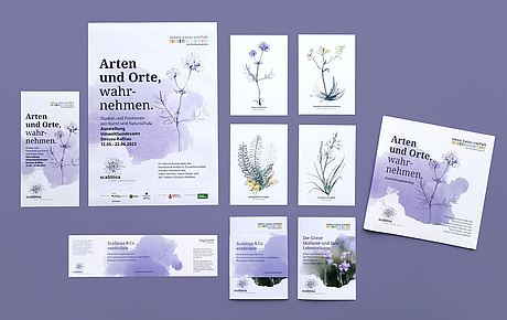 Auf dem Bild sind alle Printmedien des Scabiosa-Projekts nebeneinanderliegend dargestellt