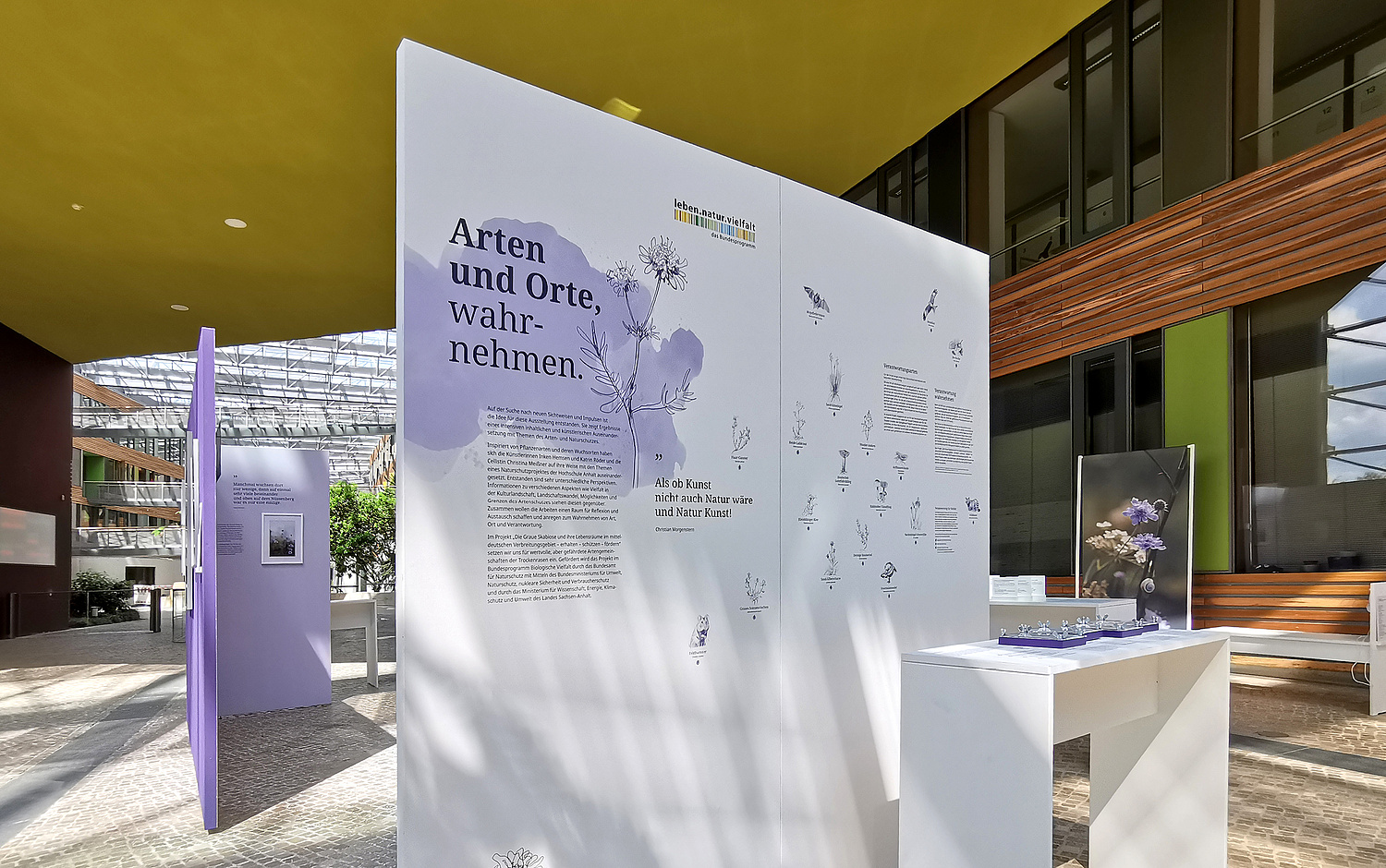 Blick auf die aufgebaute Ausstellung, im Vordergrund die Einleitungstafel mit Titel (© Papenfuss | Atelier)