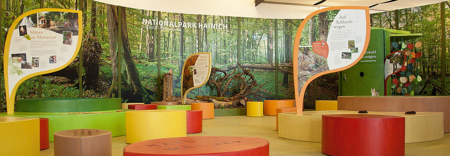 Das Bild zeigt eine Ansicht der Ausstellung Welterberegion Wartburg Hainich im Egapark Erfurt (für Nationalpark Hainich, 2016).  (© Papenfuss | Atelier)