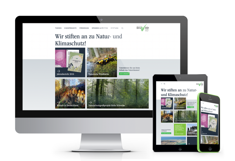 Das Bild zeigt responsive Ansichten der Startseite der Naturstiftung David.