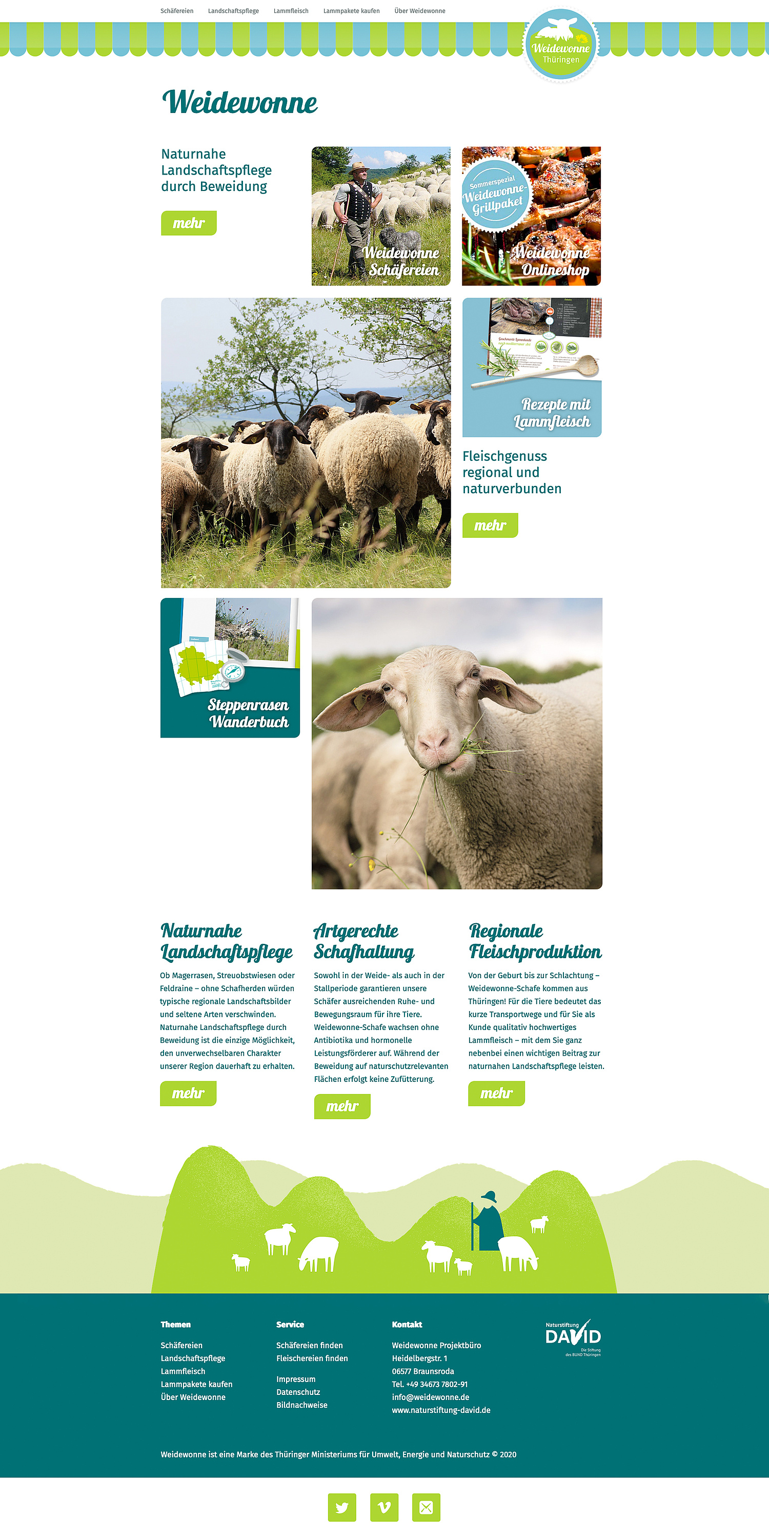 Die Website für Weidewonne, ein Projekt für die naturnahe Beweidung von Naturschutzflächen und die Vermarktung regionalen Lammfleischs, ist in ihrer Struktur an die Seite der Naturstiftung David angelehnt. (© Papenfuss | Atelier)