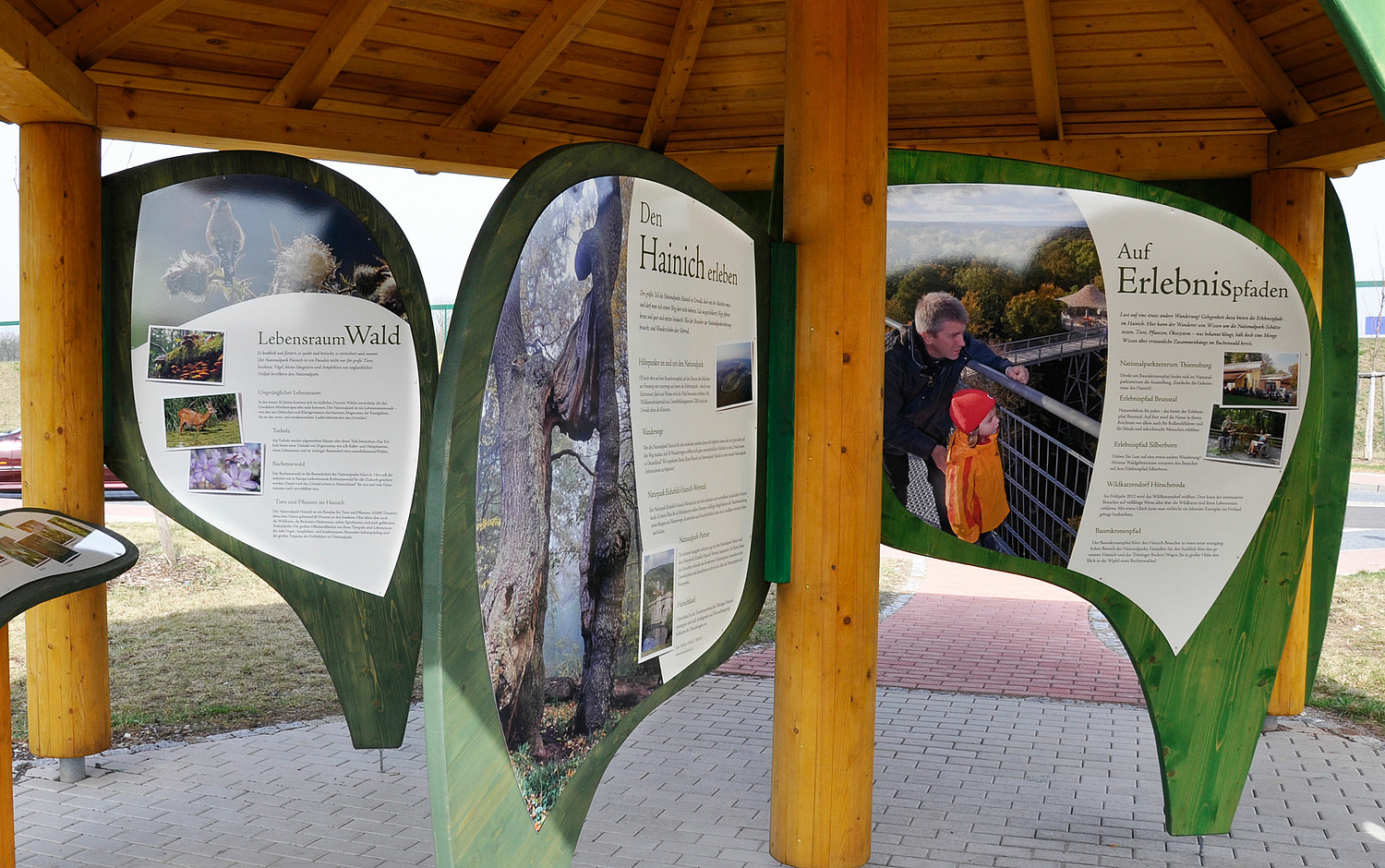 Das Bild zeigt den Infopavillon an der Autobahn (für Nationalpark Hainich, 2010–2014).  (© Papenfuss | Atelier)