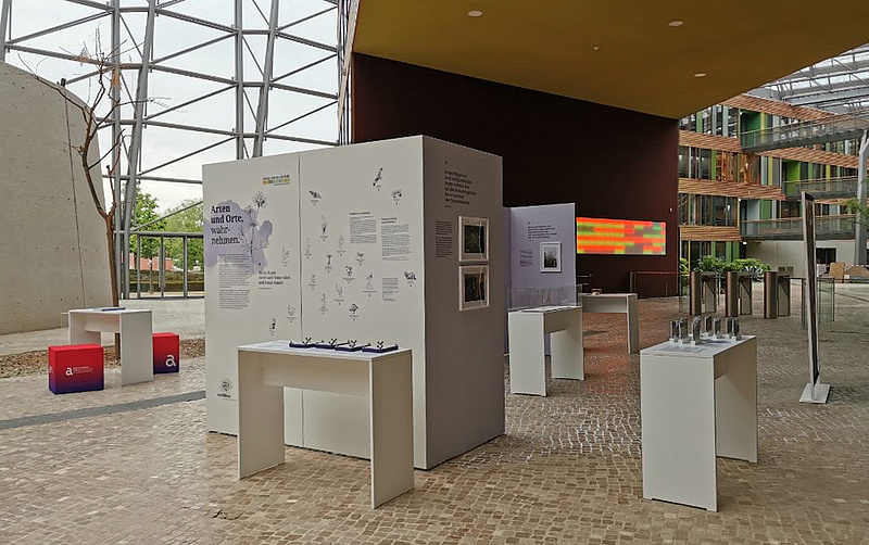 Das Bild zeigt die Wanderausstellung im Foyer des Umweltbundesamtes in Dessau mit Blick auf den ersten Winkel und Intro der Wanderausstellung "Arten und Orte, wahrnehmen.".