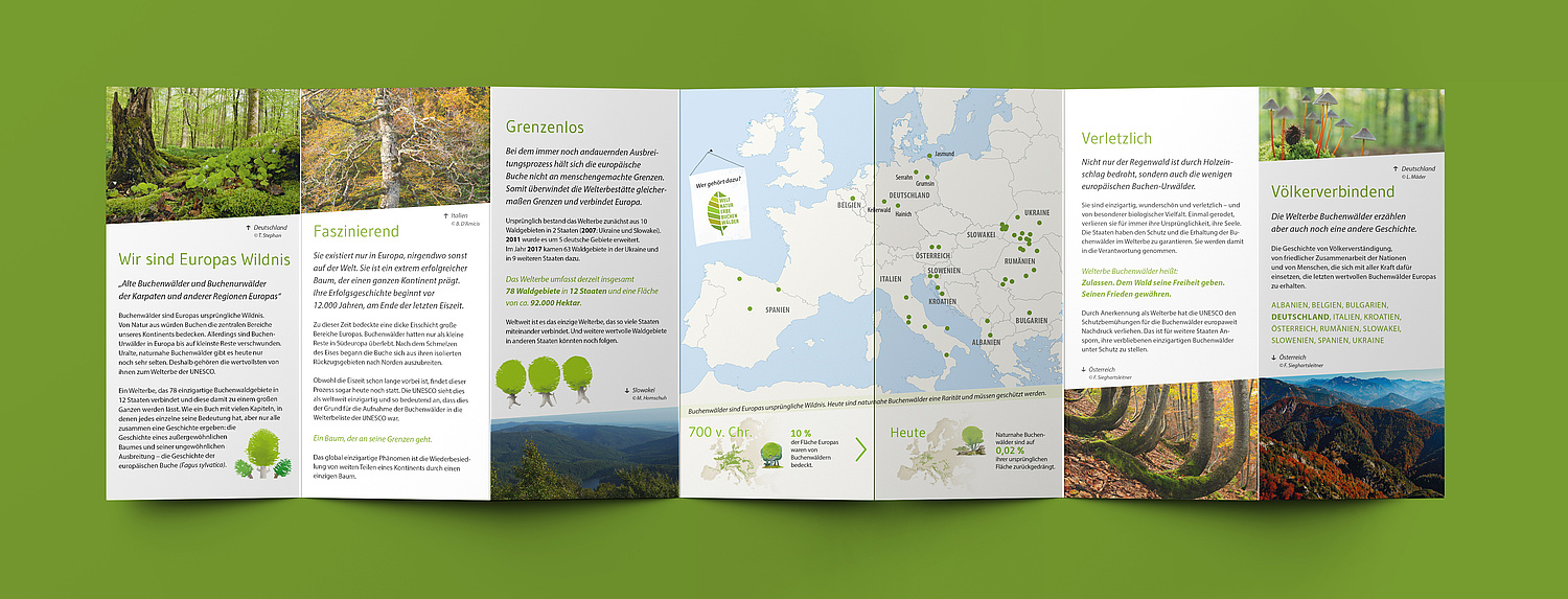 UNESCO Weltnaturerbe Alte Buchenwälder Faltblatt Europas Wildnis offen Europas Wildnis – Ansicht des offenen Faltblattes (© Papenfuss | Atelier)
